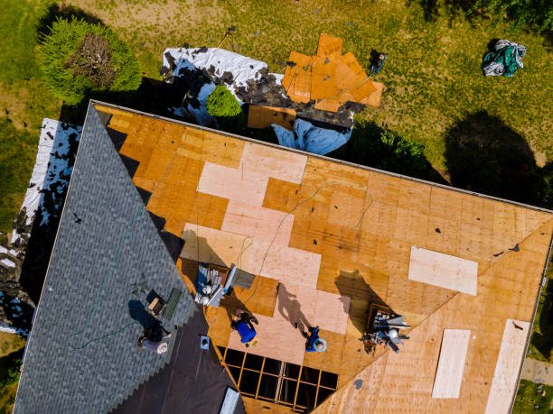Quick and Trustworthy Emergency Roof Repair Services in Albertville, MN