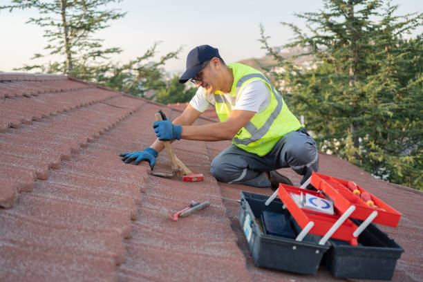 Best Storm Damage Roof Repair  in Albertville, MN