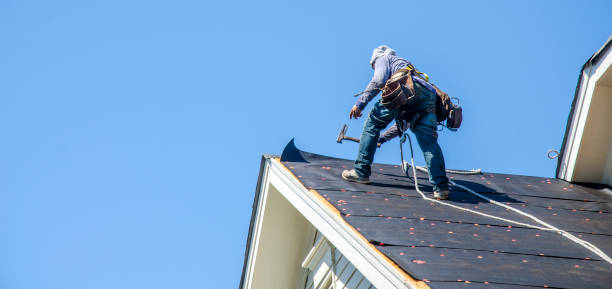 Sealant for Roof in Albertville, MN